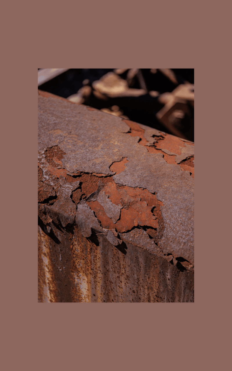 Buku  dari penulis Swimbiscuit